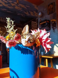 инстаграмные места Стамбула, лучшие локации Стамбула для фото, красивые фото Стамбула