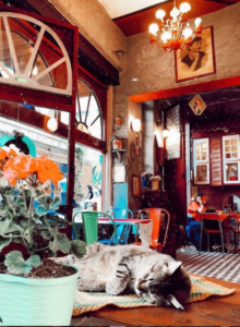 инстаграмные места Стамбула, лучшие локации Стамбула для фото, красивые фото Стамбула