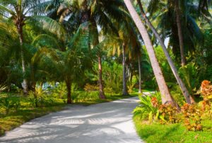 Султан парк Мале