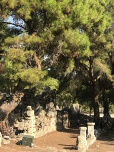 древний город Фазелис, Фазелис древний город в Турции, древний город Фазелис Кемер