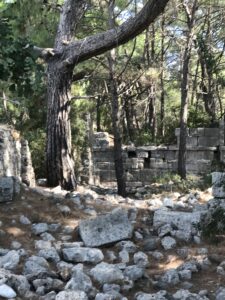 древний город Фазелис, Фазелис древний город в Турции, древний город Фазелис Кемер