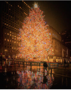 Самые красивые новогодние елки