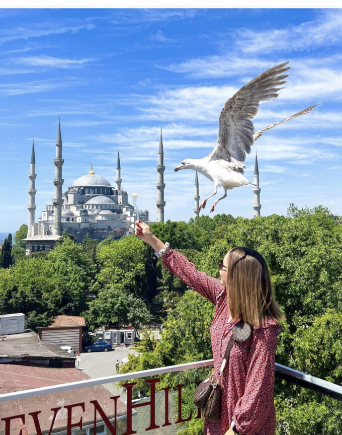ресторан в Стамбуле на крыше с чайками, видовый ресторан в Стамбуле Seven Hills