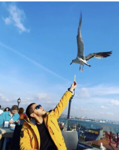 ресторан в Стамбуле на крыше с чайками, видовый ресторан в Стамбуле Seven Hills