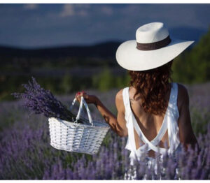 лавандовые поля Турции, когда цветут лавандовые поля Турции, где находяться лавандовые поля Турции