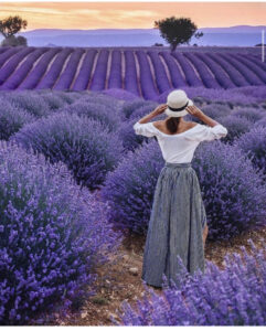 лавандовые поля Турции, когда цветут лавандовые поля Турции, где находяться лавандовые поля Турции