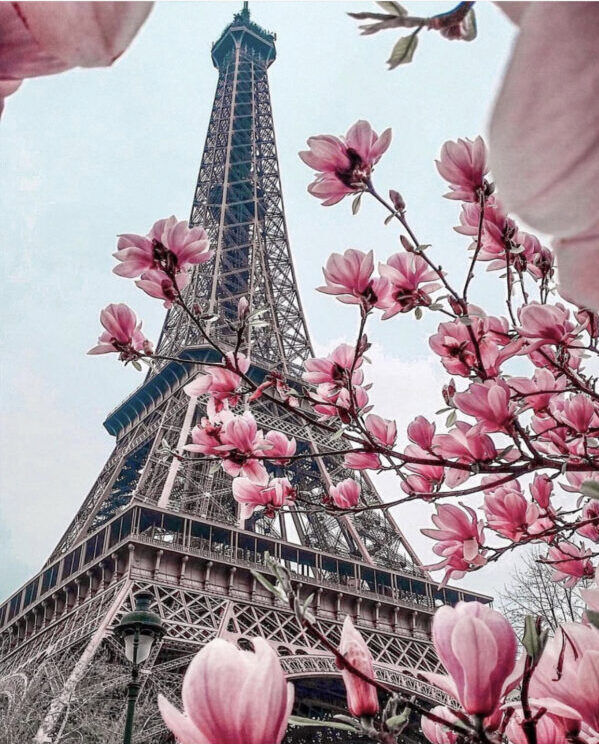 Эйфелева башня фото, Лучшие виды на Эйфелеву башню в Париже, лучшее место с видом на Эйфелеву башню, лучшее места для фото Эйфелевой башни