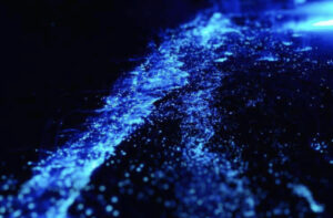 светящийся пляж Мальдив, светящийся пляж острова Ваадху