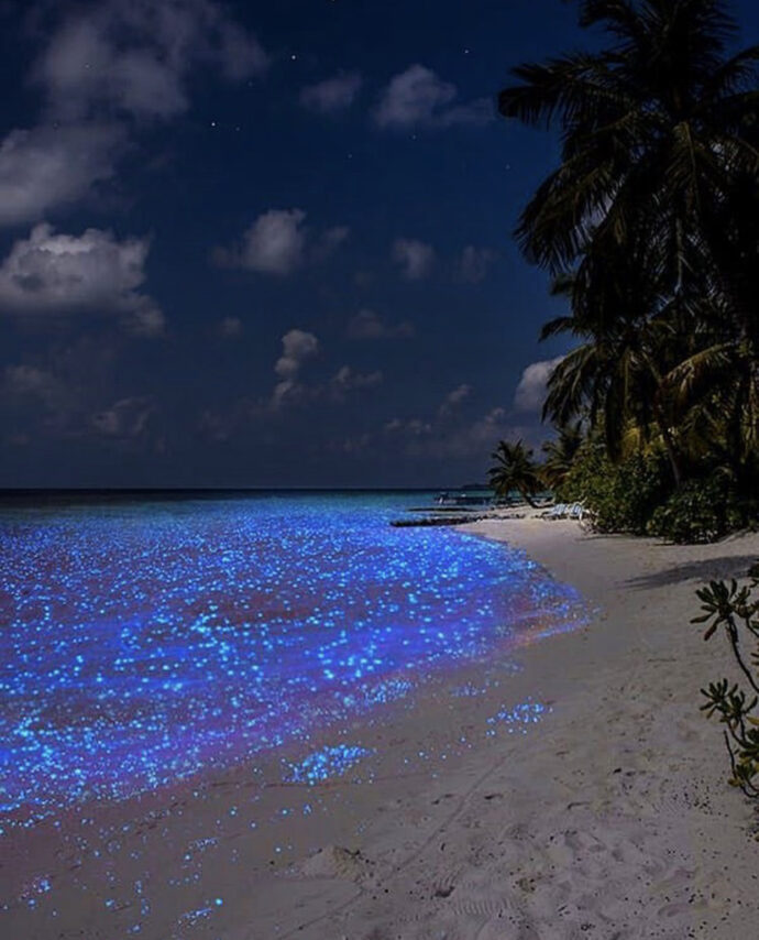светящийся пляж Мальдив, светящийся пляж острова Ваадху