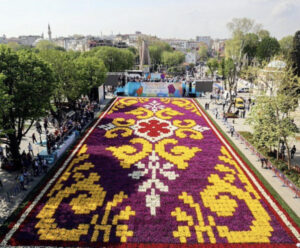 фестиваль тюльпанов в Стамбуле, стамбульский фестиваль тюльпанов