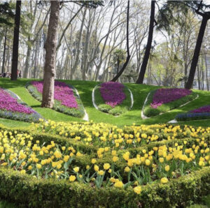 фестиваль тюльпанов в Стамбуле, стамбульский фестиваль тюльпанов