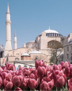 фестиваль тюльпанов в Стамбуле, стамбульский фестиваль тюльпанов