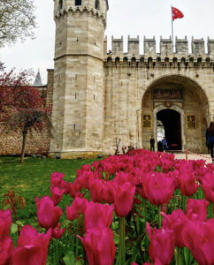 фестиваль тюльпанов в Стамбуле, стамбульский фестиваль тюльпанов