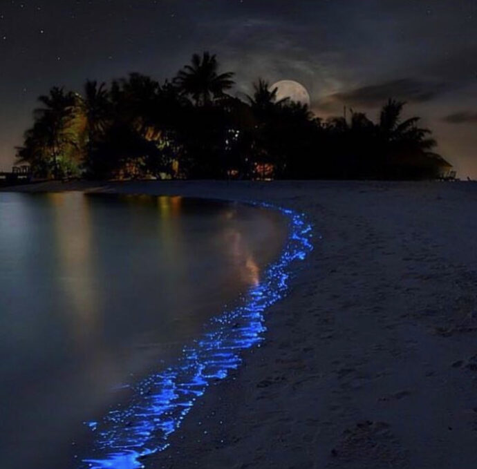 светящийся пляж Мальдив, светящийся пляж острова Ваадху