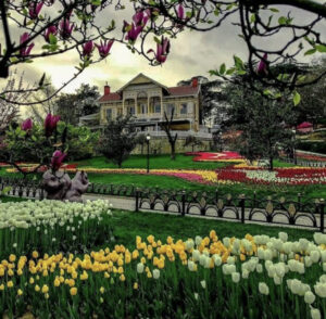 фестиваль тюльпанов в Стамбуле, стамбульский фестиваль тюльпанов