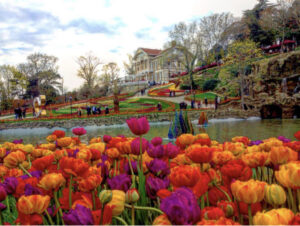 фестиваль тюльпанов в Стамбуле, стамбульский фестиваль тюльпанов