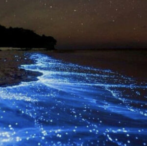 светящийся пляж Мальдив, светящийся пляж острова Ваадху