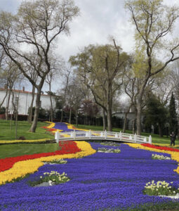 фестиваль тюльпанов в Стамбуле, стамбульский фестиваль тюльпанов