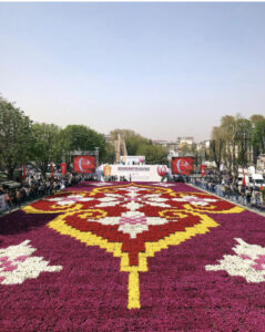 фестиваль тюльпанов в Стамбуле, стамбульский фестиваль тюльпанов