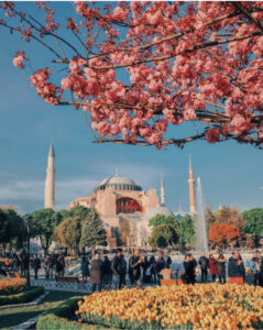 фестиваль тюльпанов в Стамбуле, стамбульский фестиваль тюльпанов