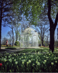 парк Эмирган в Стамбуле, парк Эмирган Стамбул, парк Эмирган Стамбул фестиваль тюльпанов, парк Эмирган Стамбул как добраться, парк Эмирган Стамбул фото