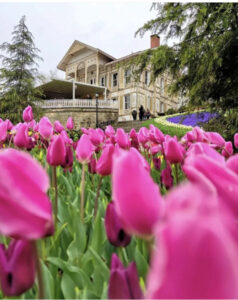 парк Эмирган в Стамбуле, парк Эмирган Стамбул, парк Эмирган Стамбул фестиваль тюльпанов, парк Эмирган Стамбул как добраться, парк Эмирган Стамбул фото