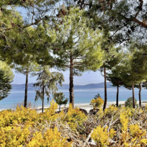 турецкие мальдивы, турецкие Мальдивы озеро Салда, озеро салда в турции, озеро салда фото, турецкие мальдивы фото, озеро салда почему нельзя купаться, озеро салда на карте, озеро салда погода, озеро салда отели, турецкие мальдивы отель, озеро салда Алания, озеро салда и античный город Кибира, адрасан турецкие мальдивы, озеро салда температура воды, турецкие мальдивы экскурсия, турецкие мальдивы пляж, турецкие мальдивы это турецкие мальдивы, озеро салда, турецкие салда, турецкие Мальдивы озеро Салда, турецкие Мальдивы озеро Салда, турецкие Мальдивы озеро Салда,