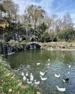 парк Эмирган в Стамбуле, парк Эмирган Стамбул, парк Эмирган Стамбул фестиваль тюльпанов, парк Эмирган Стамбул как добраться, парк Эмирган Стамбул фото