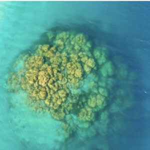 турецкие мальдивы, турецкие Мальдивы озеро Салда, озеро салда в турции, озеро салда фото, турецкие мальдивы фото, озеро салда почему нельзя купаться, озеро салда на карте, озеро салда погода, озеро салда отели, турецкие мальдивы отель, озеро салда Алания, озеро салда и античный город Кибира, адрасан турецкие мальдивы, озеро салда температура воды, турецкие мальдивы экскурсия, турецкие мальдивы пляж, турецкие мальдивы это турецкие мальдивы, озеро салда, турецкие салда, турецкие Мальдивы озеро Салда, турецкие Мальдивы озеро Салда, турецкие Мальдивы озеро Салда,