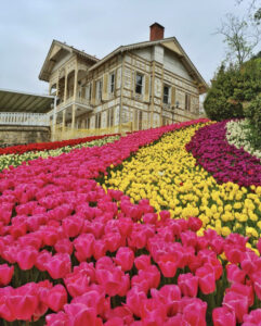 парк Эмирган в Стамбуле, парк Эмирган Стамбул, парк Эмирган Стамбул фестиваль тюльпанов, парк Эмирган Стамбул как добраться, парк Эмирган Стамбул фото