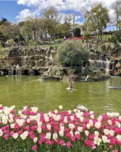 парк Эмирган в Стамбуле, парк Эмирган Стамбул, парк Эмирган Стамбул фестиваль тюльпанов, парк Эмирган Стамбул как добраться, парк Эмирган Стамбул фото