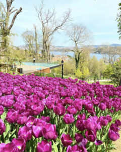 парк Эмирган в Стамбуле, парк Эмирган Стамбул, парк Эмирган Стамбул фестиваль тюльпанов, парк Эмирган Стамбул как добраться, парк Эмирган Стамбул фото