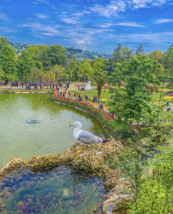 парк Эмирган в Стамбуле, парк Эмирган Стамбул, парк Эмирган Стамбул фестиваль тюльпанов, парк Эмирган Стамбул как добраться, парк Эмирган Стамбул фото