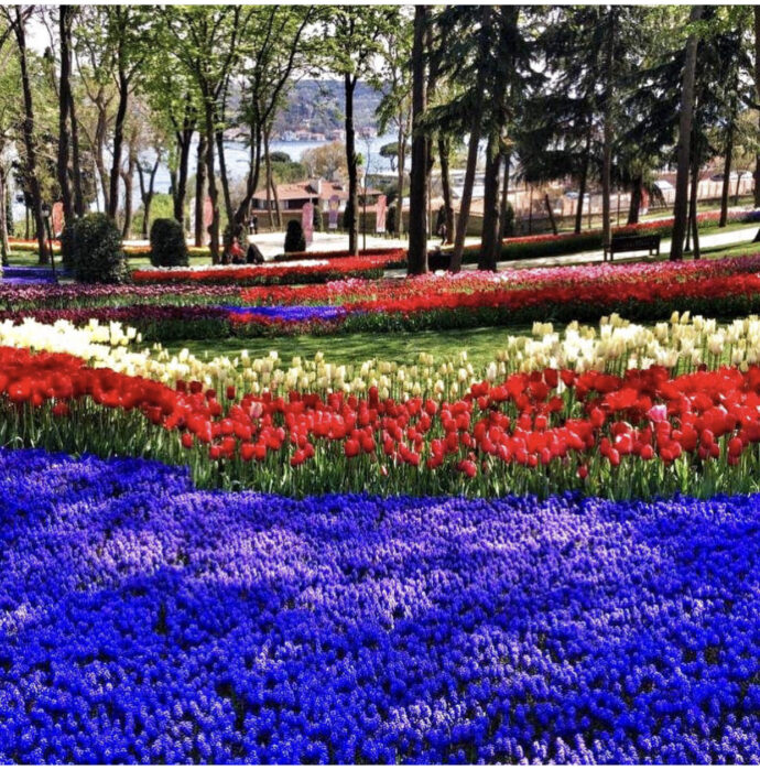 парк Эмирган в Стамбуле, парк Эмирган Стамбул, парк Эмирган Стамбул фестиваль тюльпанов, парк Эмирган Стамбул как добраться, парк Эмирган Стамбул фото
