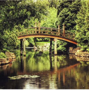 парк Эмирган в Стамбуле, парк Эмирган Стамбул, парк Эмирган Стамбул фестиваль тюльпанов, парк Эмирган Стамбул как добраться, парк Эмирган Стамбул фото