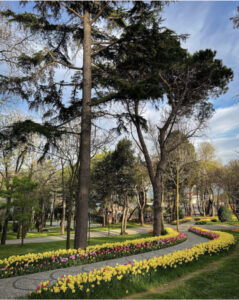 парк Эмирган в Стамбуле, парк Эмирган Стамбул, парк Эмирган Стамбул фестиваль тюльпанов, парк Эмирган Стамбул как добраться, парк Эмирган Стамбул фото