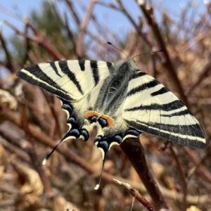 .турецкие мальдивы, турецкие Мальдивы озеро Салда, озеро салда в турции, озеро салда фото, турецкие мальдивы фото, озеро салда почему нельзя купаться, озеро салда на карте, озеро салда погода, озеро салда отели, турецкие мальдивы отель, озеро салда Алания, озеро салда и античный город Кибира, адрасан турецкие мальдивы, озеро салда температура воды, турецкие мальдивы экскурсия, турецкие мальдивы пляж, турецкие мальдивы это турецкие мальдивы, озеро салда, турецкие салда, турецкие Мальдивы озеро Салда, турецкие Мальдивы озеро Салда, турецкие Мальдивы озеро Салда,
