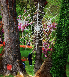 парк Эмирган в Стамбуле, парк Эмирган Стамбул, парк Эмирган Стамбул фестиваль тюльпанов, парк Эмирган Стамбул как добраться, парк Эмирган Стамбул фото