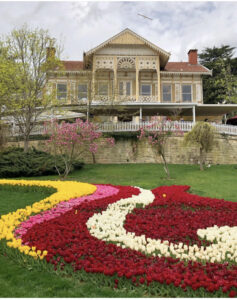 парк Эмирган в Стамбуле, парк Эмирган Стамбул, парк Эмирган Стамбул фестиваль тюльпанов, парк Эмирган Стамбул как добраться, парк Эмирган Стамбул фото
