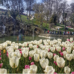 парк Эмирган в Стамбуле, парк Эмирган Стамбул, парк Эмирган Стамбул фестиваль тюльпанов, парк Эмирган Стамбул как добраться, парк Эмирган Стамбул фото