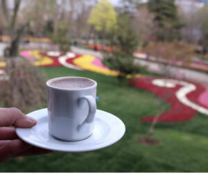 парк Эмирган в Стамбуле, парк Эмирган Стамбул, парк Эмирган Стамбул фестиваль тюльпанов, парк Эмирган Стамбул как добраться, парк Эмирган Стамбул фото