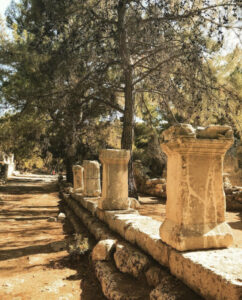 древний город Фазелис, древний Фазелис, древний город Фазелис фото, древний Фазелис история, сколько стоит вход в древний город фазелис, как добраться в фазелис из Антальи, как добраться в фазелис, древний фазелис что посмотреть, древний фазелис пляжи