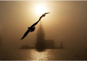 девичья башня стамбул, девичья башня в стамбуле, история девичьей башни в стамбуле, девичья башня стамбул легенды, девичья башня в стамбуле фото, девичья башня стамбул ресторан, девичья башня стамбул почему так называется, девичья башня стамбул внутри, девичья башня в стамбуле как добраться, девичья башня стамбул адрес, девичья башня стамбул на карте,девичья башня стамбул на карте, Леандрова Башня, смотровая площадка девичьей башни в стамбуле, кыз кулеси в стамбул