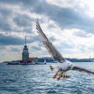 девичья башня стамбул, девичья башня в стамбуле, история девичьей башни в стамбуле, девичья башня стамбул легенды, девичья башня в стамбуле фото, девичья башня стамбул ресторан, девичья башня стамбул почему так называется, девичья башня стамбул внутри, девичья башня в стамбуле как добраться, девичья башня стамбул адрес, девичья башня стамбул на карте,девичья башня стамбул на карте, Леандрова Башня, смотровая площадка девичьей башни в стамбуле, кыз кулеси в стамбул