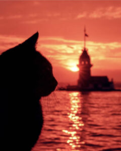 девичья башня стамбул, девичья башня в стамбуле, история девичьей башни в стамбуле, девичья башня стамбул легенды, девичья башня в стамбуле фото, девичья башня стамбул ресторан, девичья башня стамбул почему так называется, девичья башня стамбул внутри, девичья башня в стамбуле как добраться, девичья башня стамбул адрес, девичья башня стамбул на карте,девичья башня стамбул на карте, Леандрова Башня, смотровая площадка девичьей башни в стамбуле, кыз кулеси в стамбул