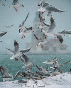 девичья башня стамбул, девичья башня в стамбуле, история девичьей башни в стамбуле, девичья башня стамбул легенды, девичья башня в стамбуле фото, девичья башня стамбул ресторан, девичья башня стамбул почему так называется, девичья башня стамбул внутри, девичья башня в стамбуле как добраться, девичья башня стамбул адрес, девичья башня стамбул на карте,девичья башня стамбул на карте, Леандрова Башня, смотровая площадка девичьей башни в стамбуле, кыз кулеси в стамбул