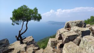 смотровые площадки стамбула, самая высокая смотровая площадка в Стамбуле, смотровая площадка с чайками в Стамбуле, смотровая площадка в азиатской части стамбула, смотровая площадка в европейской части стамбула, смотровая площадка на босфор, бесплатные смотровые площадки стамбула, самые красивые смотровые площадки стамбула, смотровая площадка сапфир стамбул как добраться