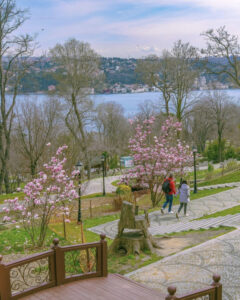 смотровые площадки стамбула, самая высокая смотровая площадка в Стамбуле, смотровая площадка с чайками в Стамбуле, смотровая площадка в азиатской части стамбула, смотровая площадка в европейской части стамбула, смотровая площадка на босфор, бесплатные смотровые площадки стамбула, самые красивые смотровые площадки стамбула, смотровая площадка сапфир стамбул как добраться