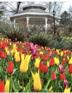 смотровые площадки стамбула, самая высокая смотровая площадка в Стамбуле, смотровая площадка с чайками в Стамбуле, смотровая площадка в азиатской части стамбула, смотровая площадка в европейской части стамбула, смотровая площадка на босфор, бесплатные смотровые площадки стамбула, самые красивые смотровые площадки стамбула, смотровая площадка сапфир стамбул как добраться