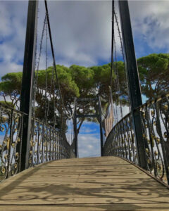 смотровые площадки стамбула, самая высокая смотровая площадка в Стамбуле, смотровая площадка с чайками в Стамбуле, смотровая площадка в азиатской части стамбула, смотровая площадка в европейской части стамбула, смотровая площадка на босфор, бесплатные смотровые площадки стамбула, самые красивые смотровые площадки стамбула, смотровая площадка сапфир стамбул как добраться